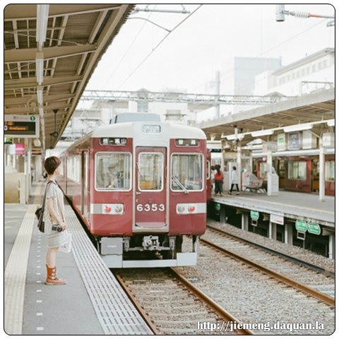 梦见莲藕