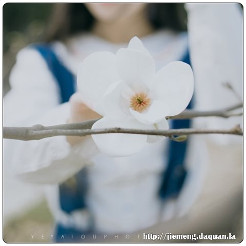 梦见红枣