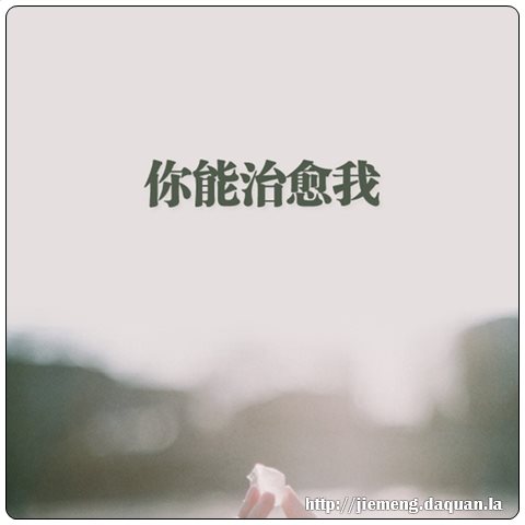 梦见我打偷狗的人